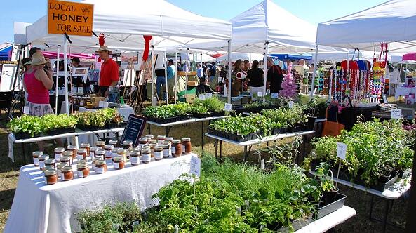 Local Vendors and Fresh Ingredients at Nocatee Farmers Market