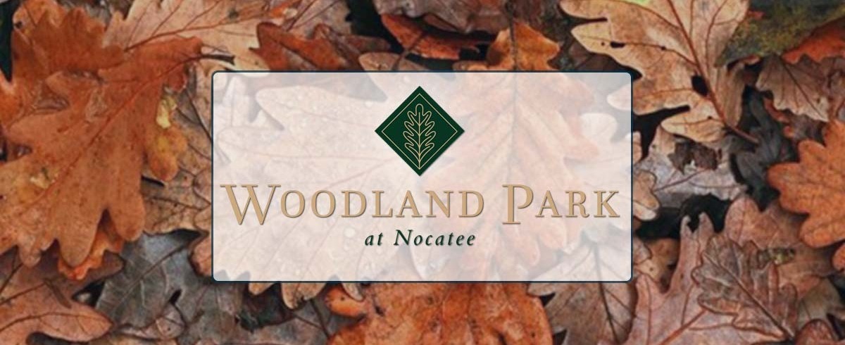 WoodLand Park Townhomes by Providence Homes