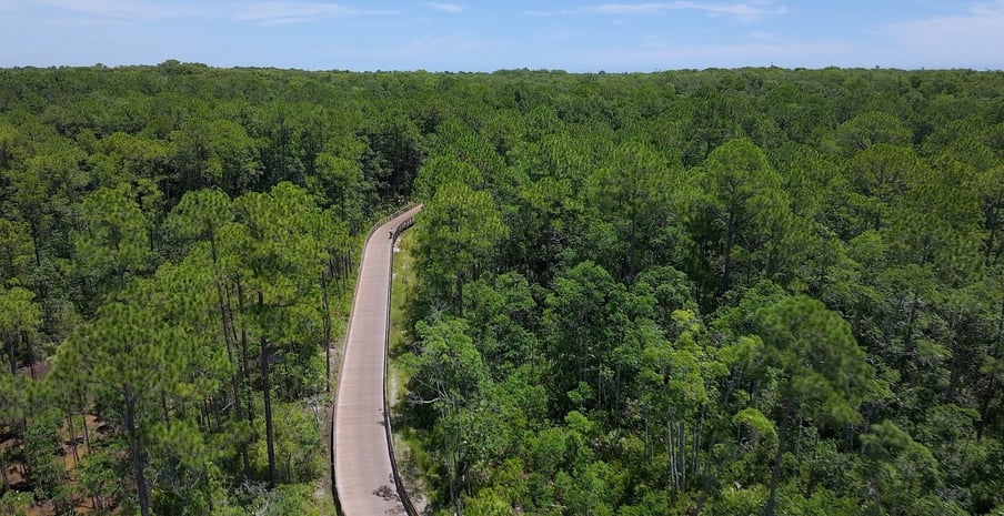 Nocatee Greenway Preserve and Trails